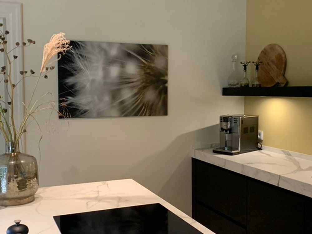 Löwenzahn hautnah von RB-Photography