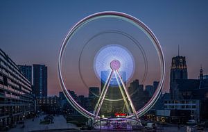 Riesenrad "The View" in Rotterdam