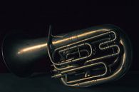 Die Band, Tuba von met Jessica / Fotostudio Drachten Miniaturansicht