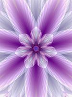 Mandala art numérique 'Méditation