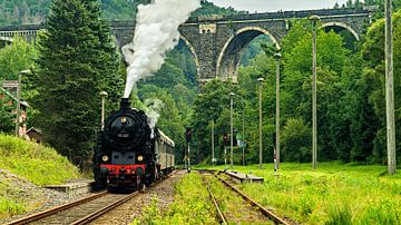 Stoomlocomotief in het Erzgebirge Hetzdorf viaduct van Johnny Flash