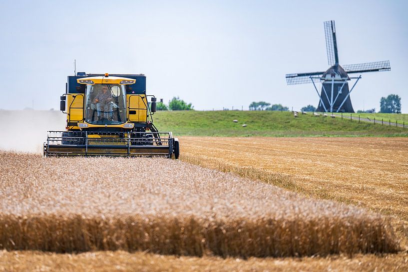 Getreideernte mit der Mühle Goliath im Hintergrund von Dennis Venema