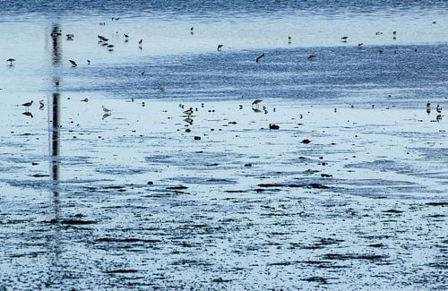La mer des Wadden