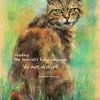 Bitte nicht stören Katzen Haiku Englisch von Karen Kaspar