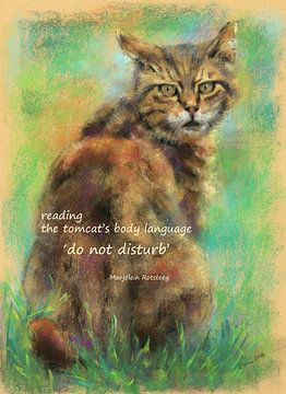Bitte nicht stören Katzen Haiku Englisch
