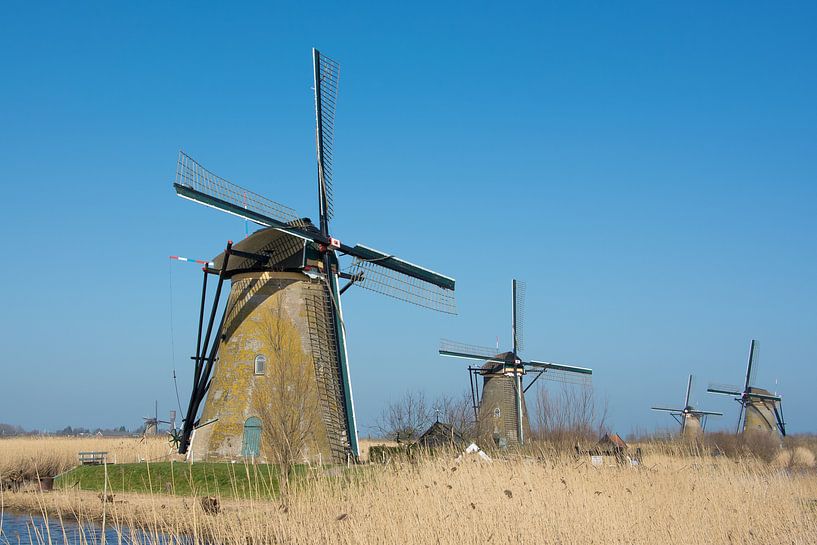 Kinderdijkse molens van Kok and Kok