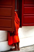 Innocent curiosity of a young monk