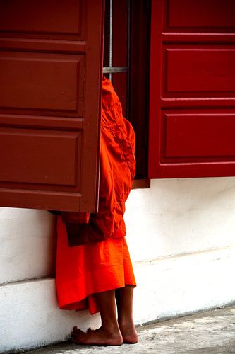 Unschuldige Neugierde eines jungen Mönchs von Frank Photos