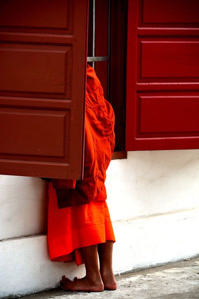 Innocent curiosity of a young monk by Frank Photos