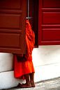 Innocent curiosity of a young monk by Frank Photos thumbnail