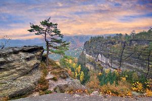 Zonsopgang in Saksisch Zwitserland van Jörg B. Schubert