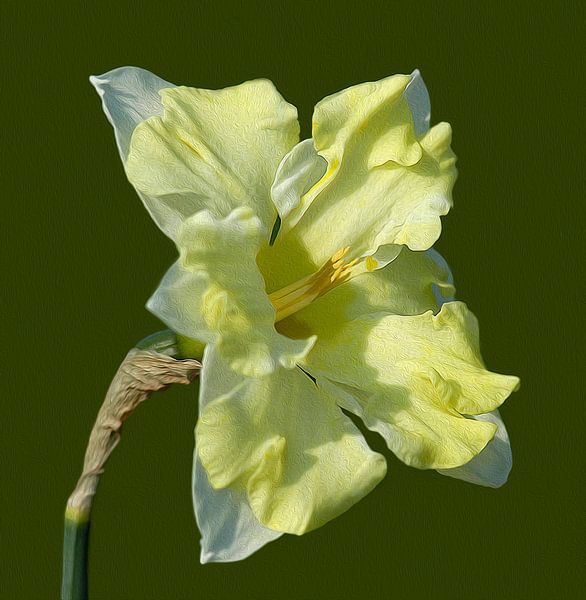Narcissus in verf van Brian Morgan