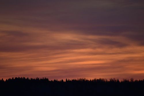 In de vroege ochtend van een herfstdag