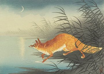 Fox au bord de l'eau au clair de lune, Ohara Koson
