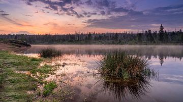 Relaxing at the Oderteich by Steffen Henze