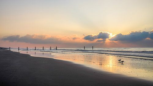 Strand bij Langevelderslag