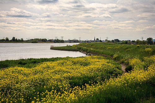 Spring on the Hollandse IJssel by Jim van Iterson