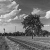  Ligne de chemin de fer sur Jan Koppelaar