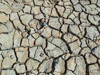 Gebarsten aarde in Camargue