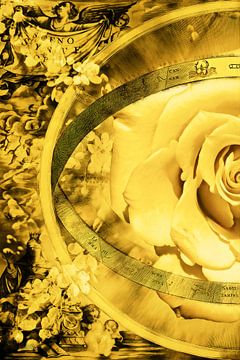 Gele roos met een oude kaart, links. van Helga Blanke