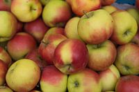 Appels 