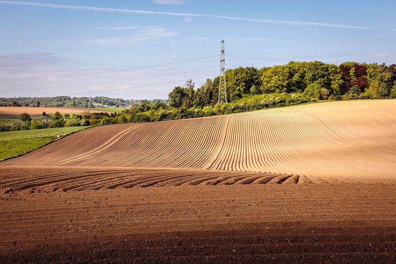 Fields @ Hekerbeek by Rob Boon