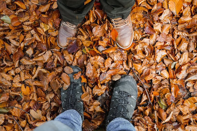 Buntes Herbstlaub von Vrijgeworteld