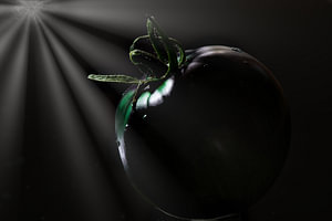 Black is black, pikzwarte eetbare tomaat