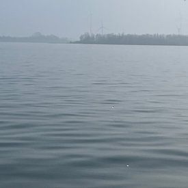 Judith Cool Profile picture