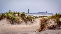 De Horsen Texel