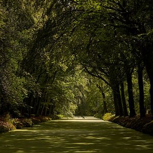 Feeling green von Gerard Oonk