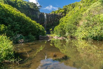 Tamarind Falls Mauritius by Peter Schickert