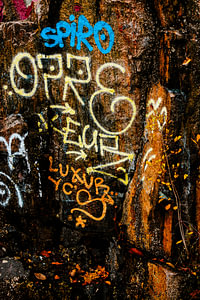 Graffiti am Fels – Herbstlaub & raue Struktur