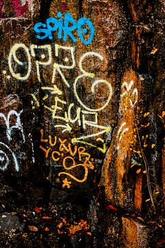 Finse rotsen en graffiti van Brave Toaster Photos