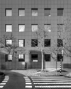 Stadtbild des Bürogebäudeteils von Leeuwarden.