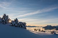 Mountains in winter dress