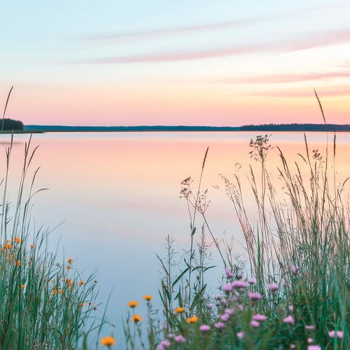 Ambiance du soir au bord du lac