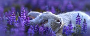 Der Hase ruht