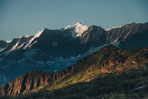 Gross Fischerhorn in the morning light