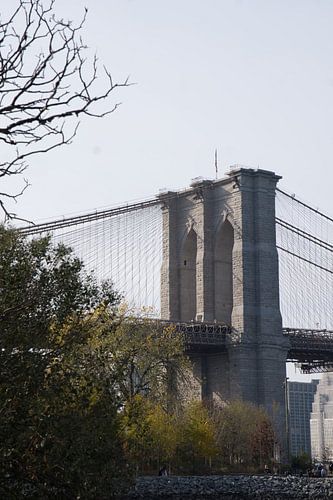 Brooklyn Bridge: Ikonische Säule inmitten von Grünanlagen