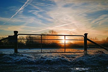 IJzige ochtendstilte - zonsopgang in het natuurreservaat Bünde