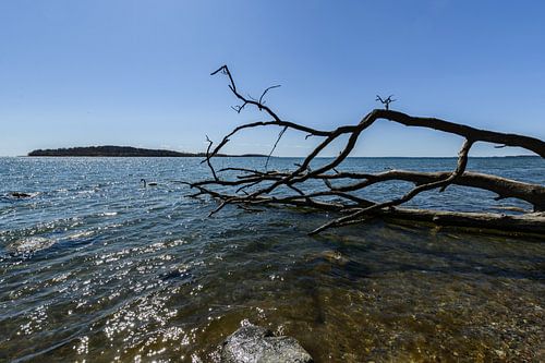 Natuurlijk strand in de Goor, Lauterbach op het eiland Rügen