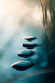 Wassertropfen auf Steinoberfläche von Poster Art Shop