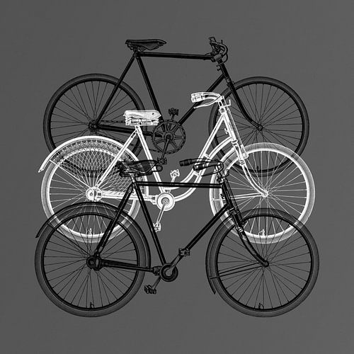Meyers Bikes – on grey version