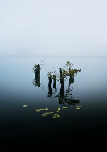 Moody Müritz par Patrick Noack