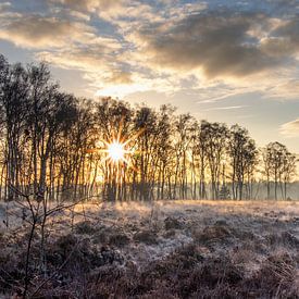 Sonnenuntergang auf der Cartier-Heide im Winter von Peschen Photography