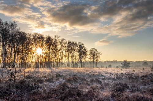 Sunset on Cartier Heath in winter