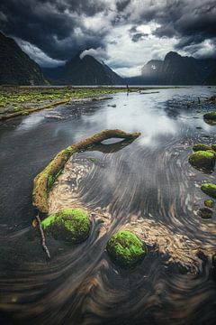 Nieuw-Zeeland Milford Sound van Jean Claude Castor