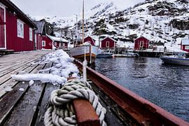 Nusjford by Julia Schellig