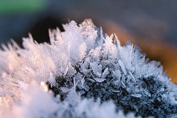 Ice crystals that have formed on a tree trunk and have grown upwards.